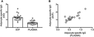 Identification and Characterization of Adipose Tissue-Derived Human Antibodies With “Anti-self” Specificity